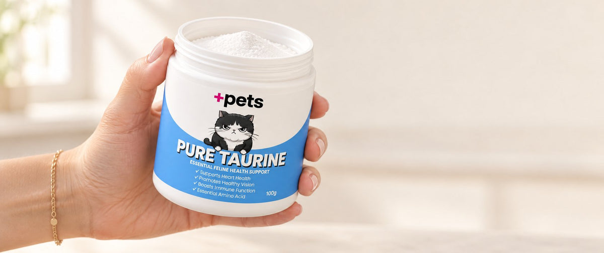 A hand holding an open jar of +Pets in a home kitchen, the beige powder visible inside