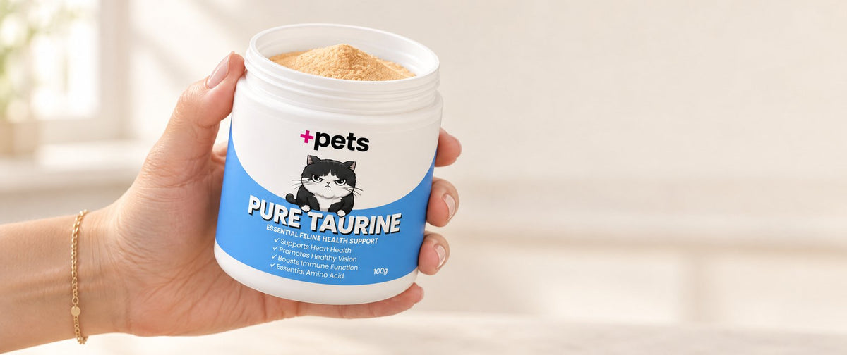 A hand holding an open jar of +Pets in a home kitchen, the beige powder visible inside